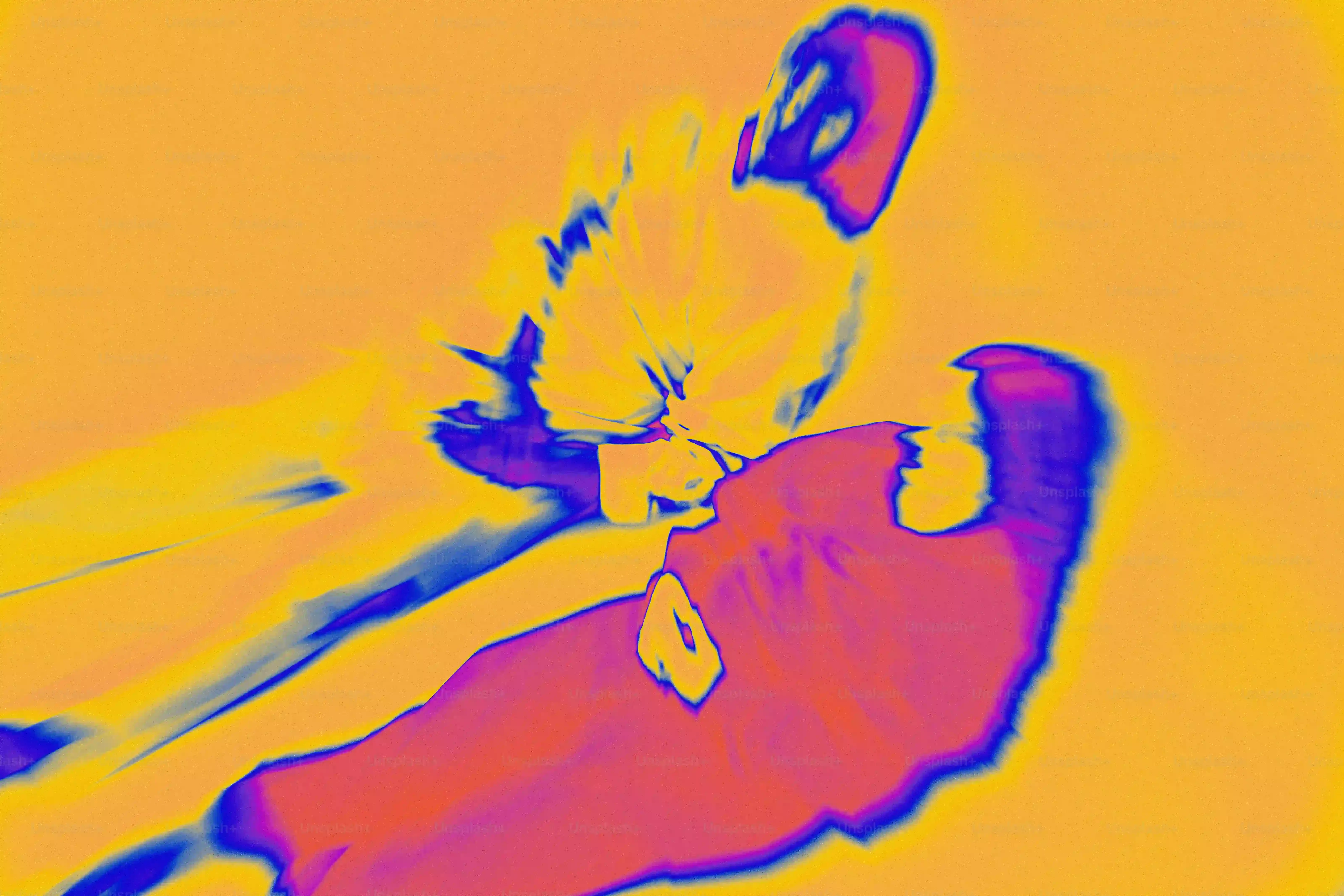 あなたにぴったりのラガマフィン 猫 ブリーダー発見！【完全版】